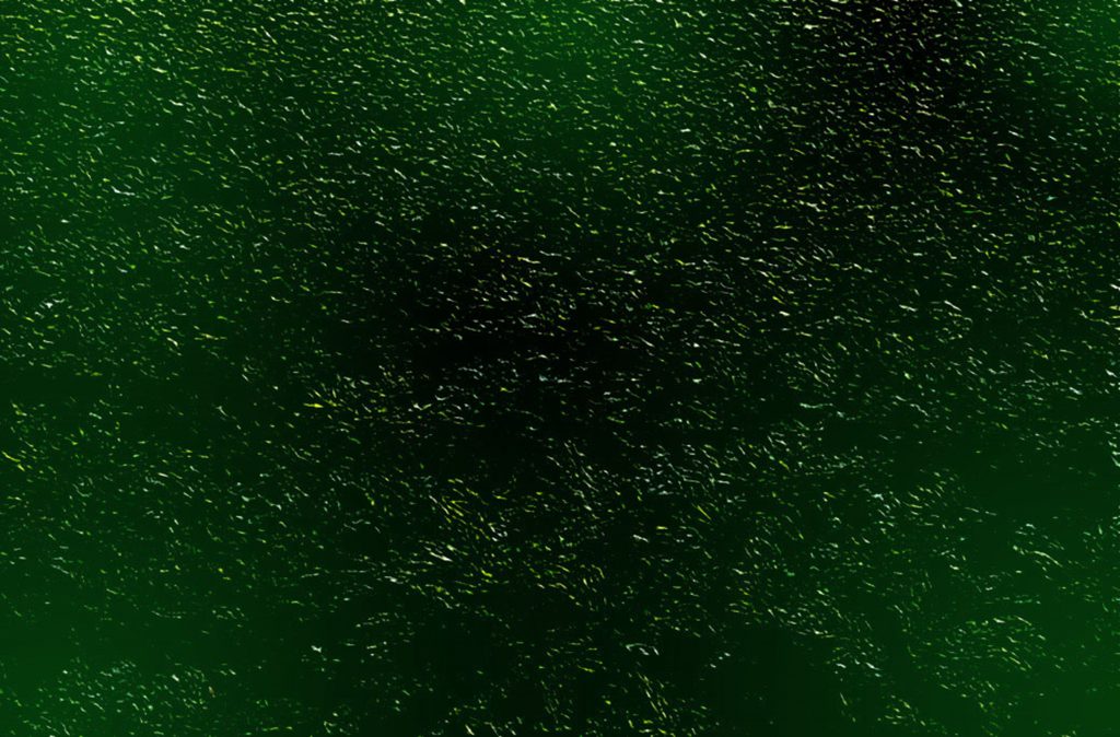 Abstract dark green & black background - free photo - Graphics Pic