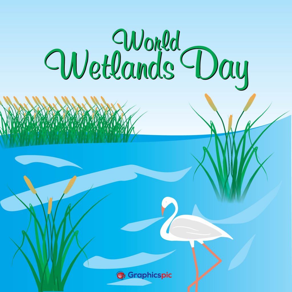 World Wetlands Day 2 February| Stock Photos, Graphics, Vectors ...