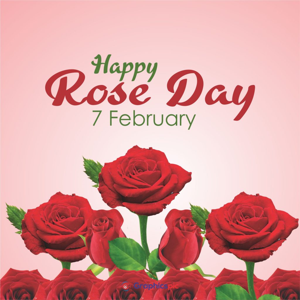 Happy Rose Day 7th February Stock Photos, Graphics, Vectors