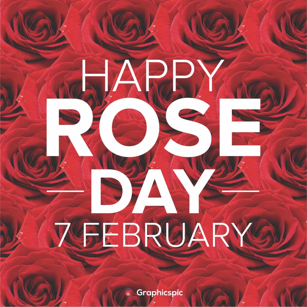 Happy Rose Day 7th February | Stock Photos, Graphics, Vectors ...