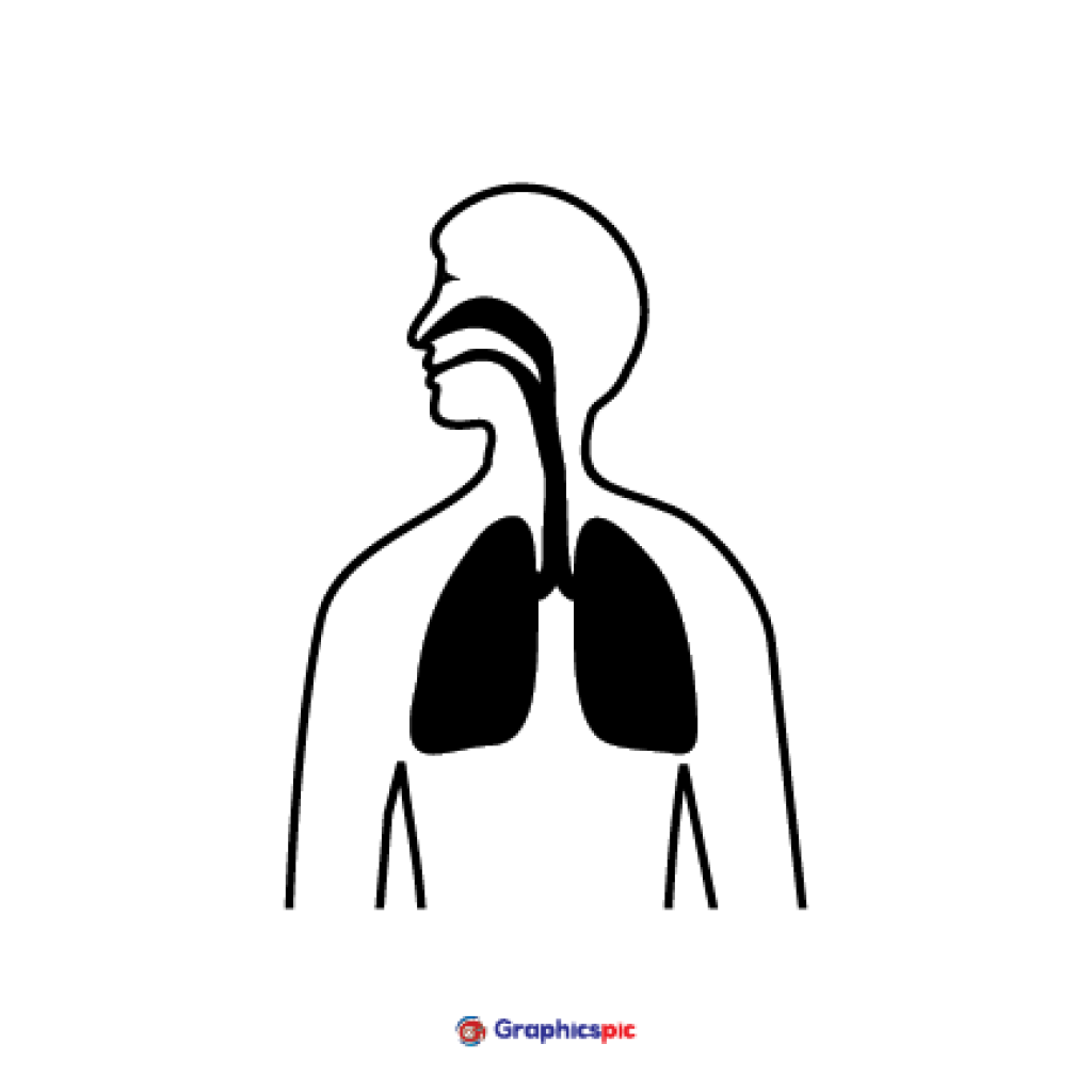 Respiratory system symbol. Human body with lungs, nose and mouth line ...